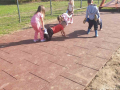 IMG-45164a1aa10b036e56330d259a783331-V