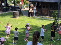 1-Lino-67