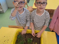 IMG-2bd78db0da226b61a5f26459df13774f-V