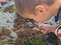 IMG-82d1c065c8d36bc16d02ae2afb011002-V
