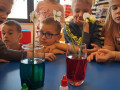 IMG-964d957284a7195303b2cd1a8daa2e05-V