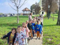 img-88083e0614188dd8e5ea5ad313e52d2f-v